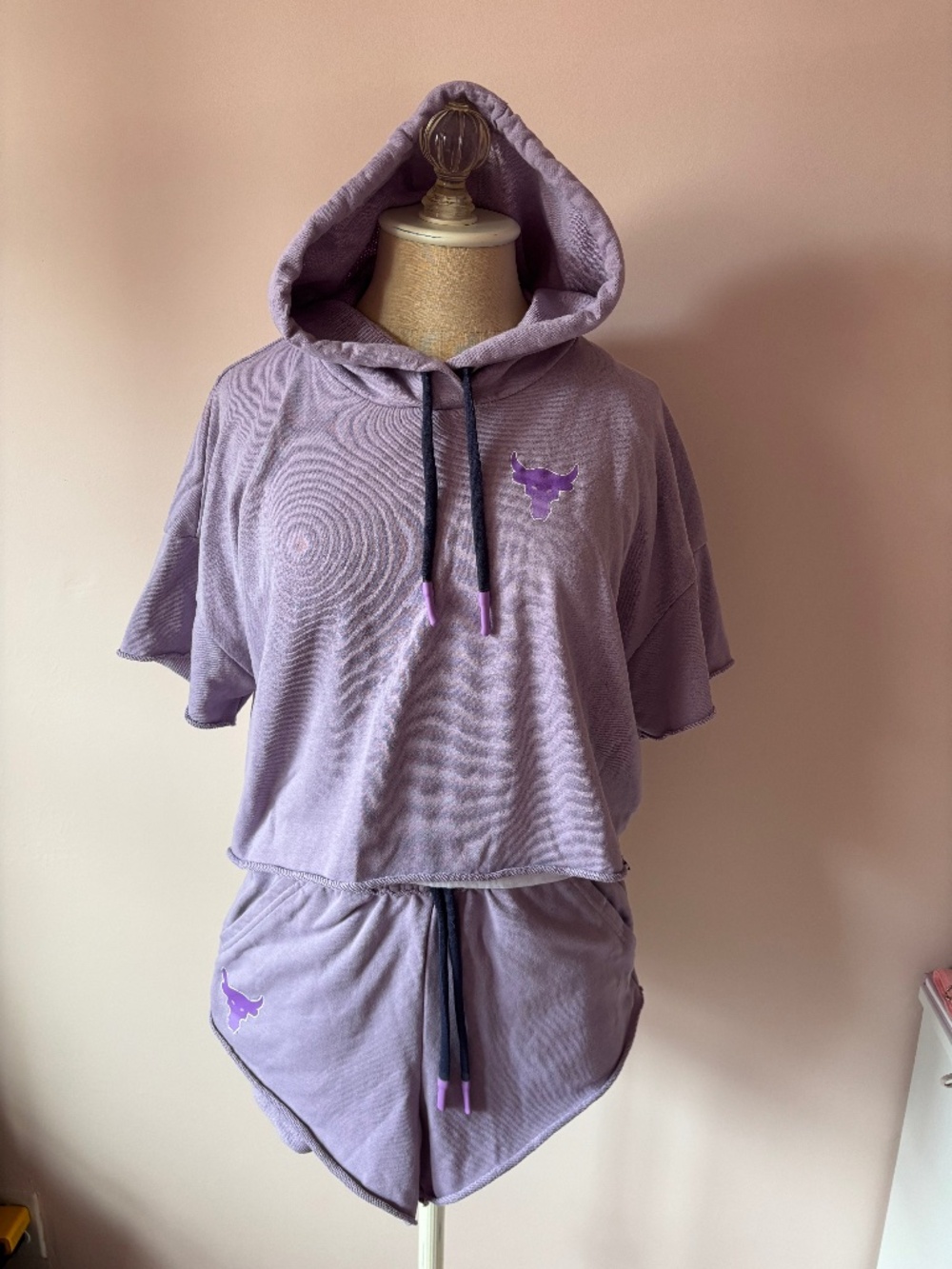 Under Armour Crop Hoodie and Shorts Set